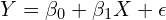 Y = \beta_0 + \beta_1 X + \epsilon